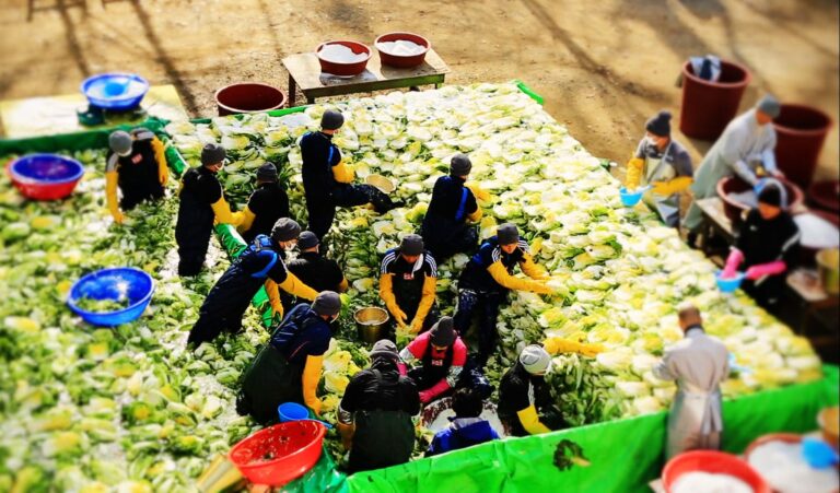 Kimjang culture Korean families preparing winter kimchi together