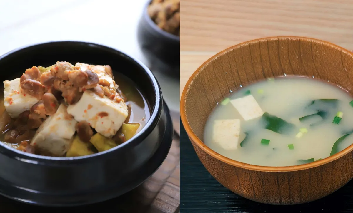 Korean doenjang soup and Japanese miso soup side by side in two bowls, showing the color difference between the two fermented soybean pastes