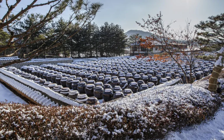 Jangdokdae traditional Korean fermentation crocks on a stone platform