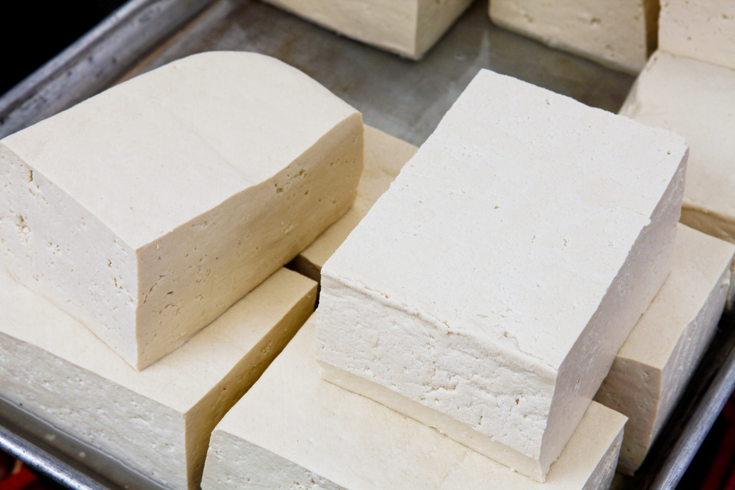 Tofu fermentation process showing microorganisms transforming soybean curd